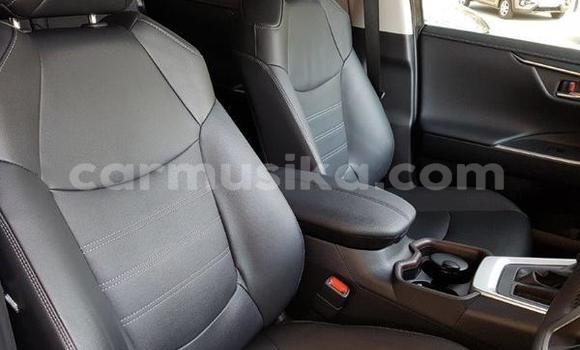 Tenga Tsaru Toyota RAV4 Nhema Mota in Beitbridge in Matabeleland South Tenga Tsaru Toyota RAV4 Nhema Mota in Beitbridge in Matabeleland South