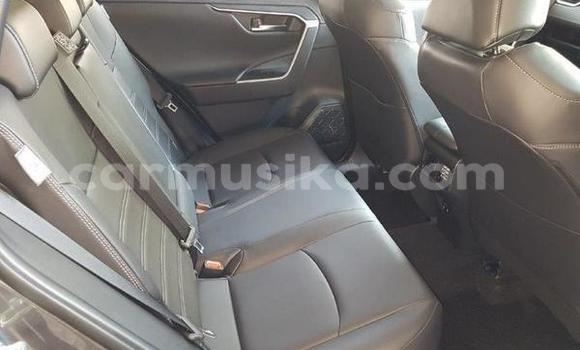 Tenga Tsaru Toyota RAV4 Nhema Mota in Beitbridge in Matabeleland South Tenga Tsaru Toyota RAV4 Nhema Mota in Beitbridge in Matabeleland South