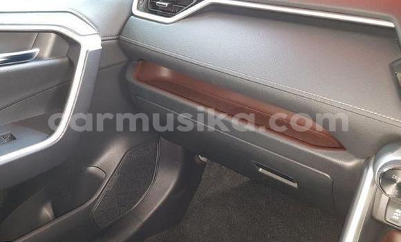 Tenga Tsaru Toyota RAV4 Nhema Mota in Beitbridge in Matabeleland South Tenga Tsaru Toyota RAV4 Nhema Mota in Beitbridge in Matabeleland South