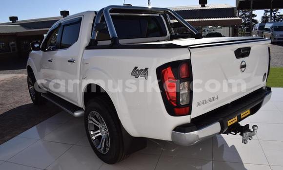 Buy Used Nissan Navara White Car in Beitbridge in Matabeleland South Buy Used Nissan Navara White Car in Beitbridge in Matabeleland South