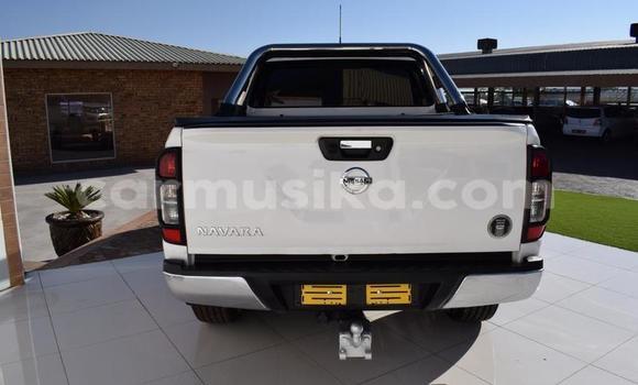 Buy Used Nissan Navara White Car in Beitbridge in Matabeleland South Buy Used Nissan Navara White Car in Beitbridge in Matabeleland South