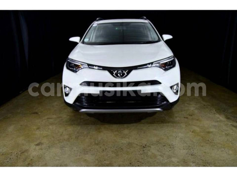 Big with watermark toyota rav4 matabeleland south beitbridge 8769