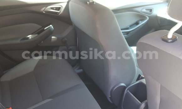 Tenga Tsaru Ford Focus Chena Mota in Beitbridge in Matabeleland South Tenga Tsaru Ford Focus Chena Mota in Beitbridge in Matabeleland South