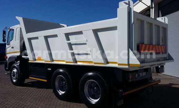 Tenga Tsaru Hino 300 Series Chena Rori in Beitbridge in Matabeleland South Tenga Tsaru Hino 300 Series Chena Rori in Beitbridge in Matabeleland South