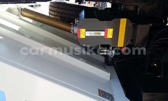 Tenga Tsaru Hino 300 Series Chena Rori in Beitbridge in Matabeleland South Tenga Tsaru Hino 300 Series Chena Rori in Beitbridge in Matabeleland South