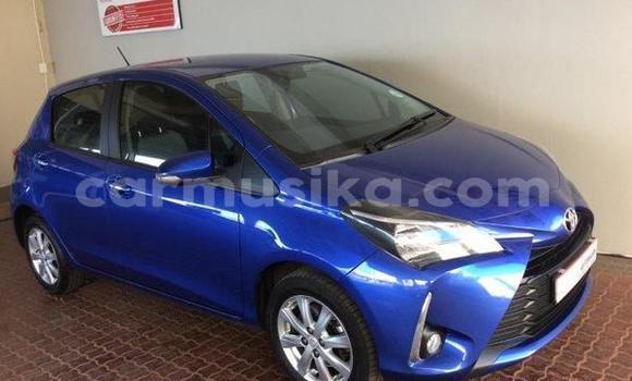 Buy Used Toyota Yaris Blue Car in Beitbridge in Matabeleland South Buy Used Toyota Yaris Blue Car in Beitbridge in Matabeleland South