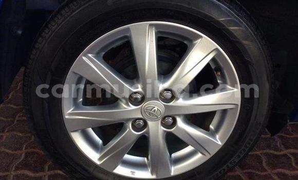 Buy Used Toyota Yaris Blue Car in Beitbridge in Matabeleland South Buy Used Toyota Yaris Blue Car in Beitbridge in Matabeleland South