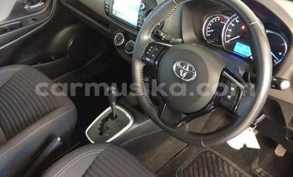 Buy Used Toyota Yaris Blue Car in Beitbridge in Matabeleland South Buy Used Toyota Yaris Blue Car in Beitbridge in Matabeleland South