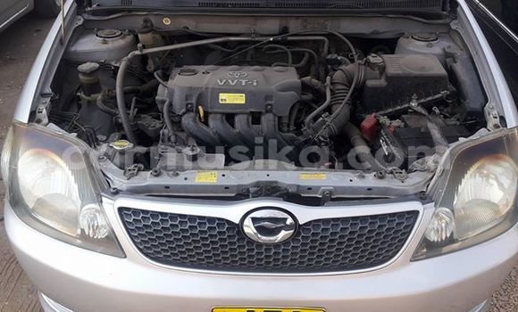 Buy Used Toyota Runx Silver Car in Mutare in Manicaland Buy Used Toyota Runx Silver Car in Mutare in Manicaland