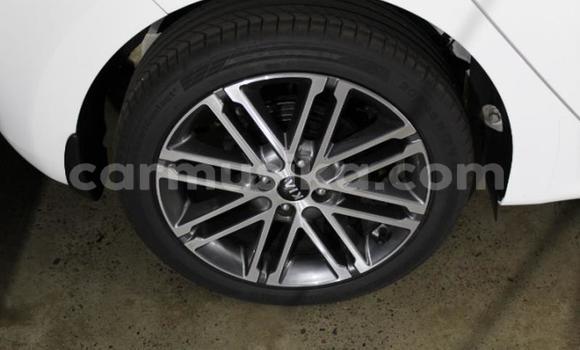 Nunua Ilio tumika Kia Rio Nyeupe Gari ndani ya Beitbridge nchini Matabeleland Kusini Nunua Ilio tumika Kia Rio Nyeupe Gari ndani ya Beitbridge nchini Matabeleland Kusini