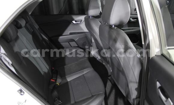 Nunua Ilio tumika Kia Rio Nyeupe Gari ndani ya Beitbridge nchini Matabeleland Kusini Nunua Ilio tumika Kia Rio Nyeupe Gari ndani ya Beitbridge nchini Matabeleland Kusini