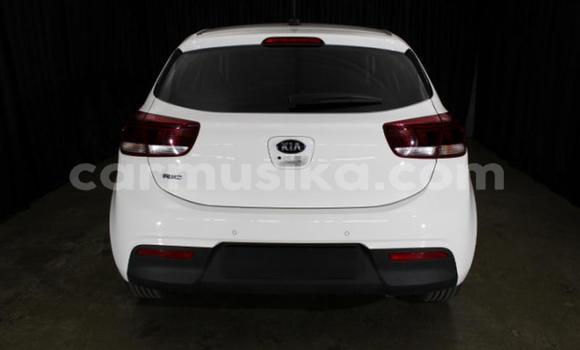 Nunua Ilio tumika Kia Rio Nyeupe Gari ndani ya Beitbridge nchini Matabeleland Kusini Nunua Ilio tumika Kia Rio Nyeupe Gari ndani ya Beitbridge nchini Matabeleland Kusini