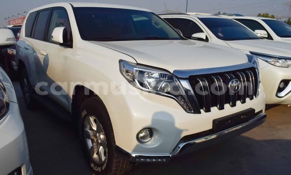 Tenga Imported Toyota Prado Chena Mota in Import - Dubai in Harare Tenga Imported Toyota Prado Chena Mota in Import - Dubai in Harare