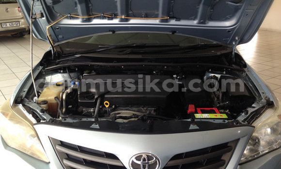 Buy Used Toyota Corolla Blue Car in Beitbridge in Matabeleland South Buy Used Toyota Corolla Blue Car in Beitbridge in Matabeleland South