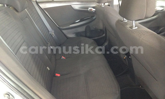 Buy Used Toyota Corolla Blue Car in Beitbridge in Matabeleland South Buy Used Toyota Corolla Blue Car in Beitbridge in Matabeleland South