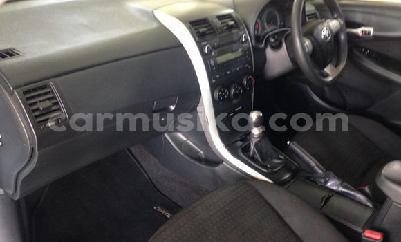 Buy Used Toyota Corolla Blue Car in Beitbridge in Matabeleland South Buy Used Toyota Corolla Blue Car in Beitbridge in Matabeleland South