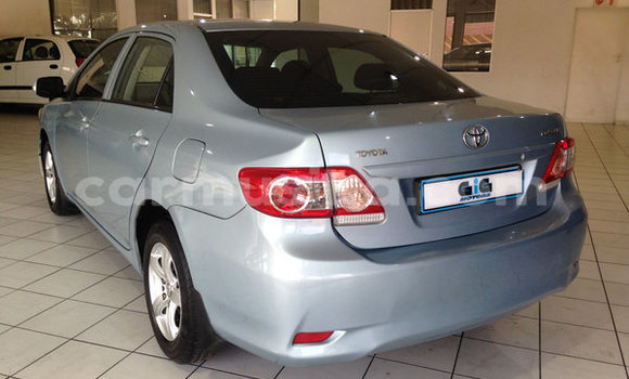 Buy Used Toyota Corolla Blue Car in Beitbridge in Matabeleland South Buy Used Toyota Corolla Blue Car in Beitbridge in Matabeleland South