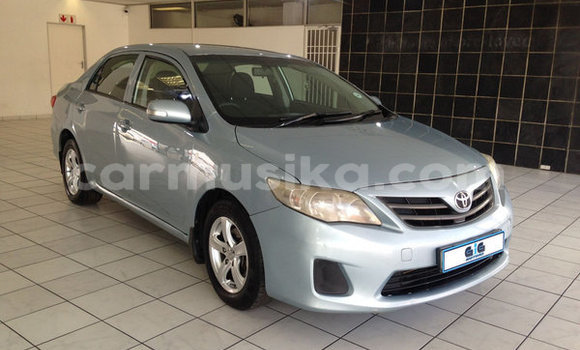 Buy Used Toyota Corolla Blue Car in Beitbridge in Matabeleland South Buy Used Toyota Corolla Blue Car in Beitbridge in Matabeleland South