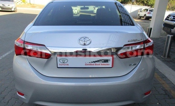 Nunua Ilio tumika Toyota Corolla Fedha Gari ndani ya Beitbridge nchini Matabeleland Kusini Nunua Ilio tumika Toyota Corolla Fedha Gari ndani ya Beitbridge nchini Matabeleland Kusini