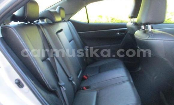 Nunua Ilio tumika Toyota Corolla Fedha Gari ndani ya Beitbridge nchini Matabeleland Kusini Nunua Ilio tumika Toyota Corolla Fedha Gari ndani ya Beitbridge nchini Matabeleland Kusini