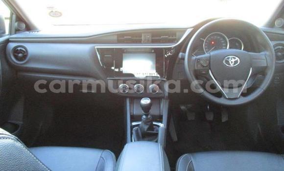 Nunua Ilio tumika Toyota Corolla Fedha Gari ndani ya Beitbridge nchini Matabeleland Kusini Nunua Ilio tumika Toyota Corolla Fedha Gari ndani ya Beitbridge nchini Matabeleland Kusini