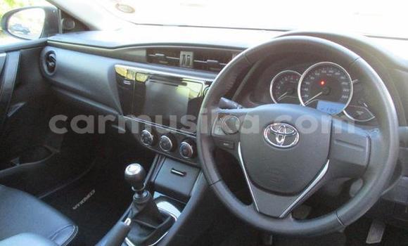 Nunua Ilio tumika Toyota Corolla Fedha Gari ndani ya Beitbridge nchini Matabeleland Kusini Nunua Ilio tumika Toyota Corolla Fedha Gari ndani ya Beitbridge nchini Matabeleland Kusini