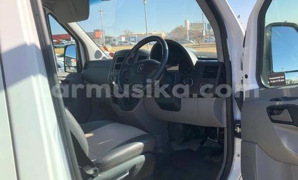 Tenga Tsaru Mercedes Viano Chena Mota in Beitbridge in Matabeleland South Tenga Tsaru Mercedes Viano Chena Mota in Beitbridge in Matabeleland South