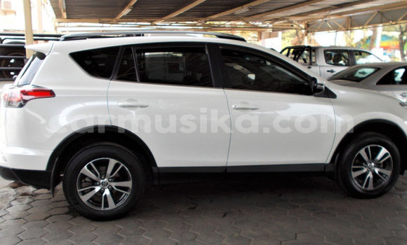 Acheter Occasion Voiture Toyota RAV4 Blanc à Beitbridge, Matabeleland South Acheter Occasion Voiture Toyota RAV4 Blanc à Beitbridge, Matabeleland South