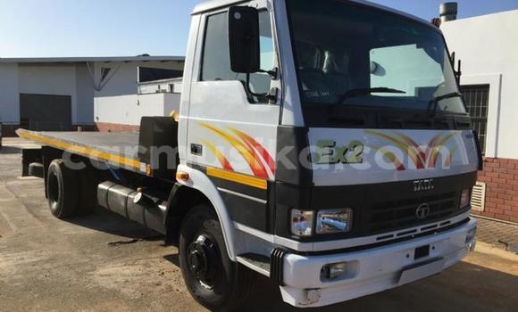 Nunua Ilio tumika TATA Estate Nyeupe Gari ndani ya Beitbridge nchini Matabeleland Kusini