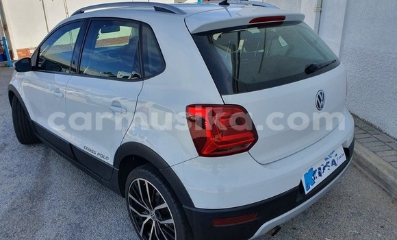 Buy Used Volkswagen Polo White Car in Beitbridge in Matabeleland South Buy Used Volkswagen Polo White Car in Beitbridge in Matabeleland South