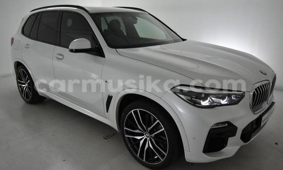 Tenga Tsaru BMW X5 Chena Mota in Beitbridge in Matabeleland South Tenga Tsaru BMW X5 Chena Mota in Beitbridge in Matabeleland South