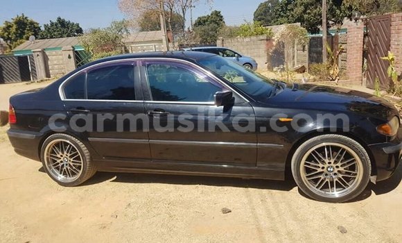 Buy Used BMW 3–Series Black Car in Harare in Harare Buy Used BMW 3–Series Black Car in Harare in Harare