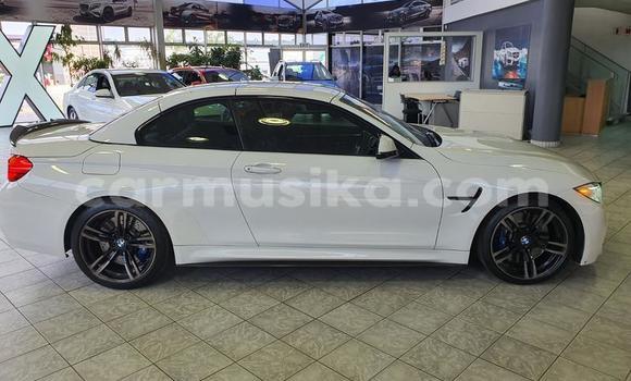 Tenga Tsaru BMW M4 Chena Mota in Beitbridge in Matabeleland South Tenga Tsaru BMW M4 Chena Mota in Beitbridge in Matabeleland South