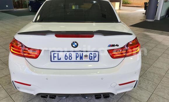 Tenga Tsaru BMW M4 Chena Mota in Beitbridge in Matabeleland South Tenga Tsaru BMW M4 Chena Mota in Beitbridge in Matabeleland South