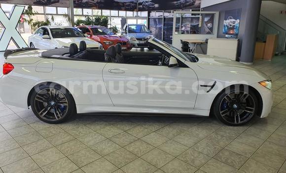 Tenga Tsaru BMW M4 Chena Mota in Beitbridge in Matabeleland South Tenga Tsaru BMW M4 Chena Mota in Beitbridge in Matabeleland South