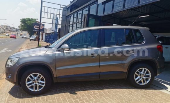 Tenga Tsaru Volkswagen Tiguan Sirivha Mota in Beitbridge in Matabeleland South Tenga Tsaru Volkswagen Tiguan Sirivha Mota in Beitbridge in Matabeleland South