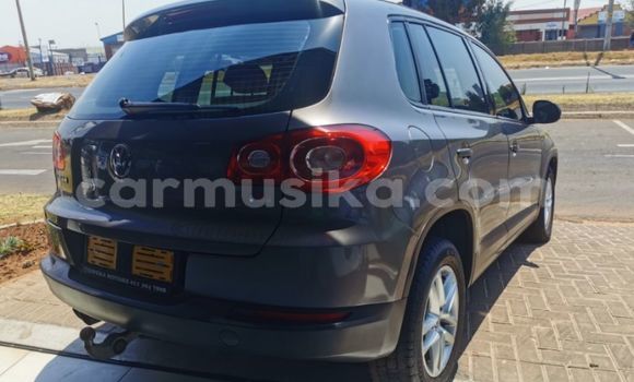 Tenga Tsaru Volkswagen Tiguan Sirivha Mota in Beitbridge in Matabeleland South Tenga Tsaru Volkswagen Tiguan Sirivha Mota in Beitbridge in Matabeleland South