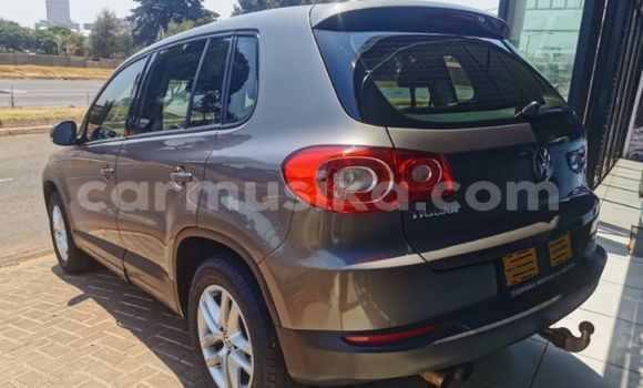 Tenga Tsaru Volkswagen Tiguan Sirivha Mota in Beitbridge in Matabeleland South Tenga Tsaru Volkswagen Tiguan Sirivha Mota in Beitbridge in Matabeleland South
