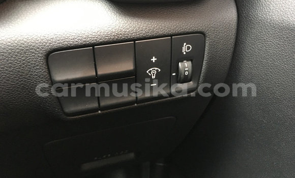 Buy Used Kia Sportage Red Car in Beitbridge in Matabeleland South Buy Used Kia Sportage Red Car in Beitbridge in Matabeleland South