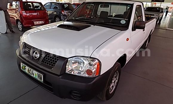 Tenga Tsaru Nissan Hardbody Chena Mota in Beitbridge in Matabeleland South Tenga Tsaru Nissan Hardbody Chena Mota in Beitbridge in Matabeleland South