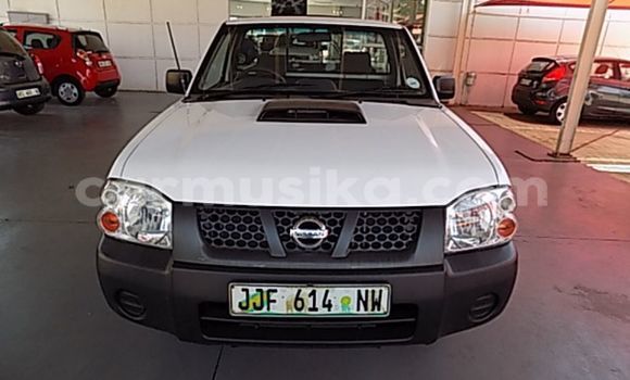 Tenga Tsaru Nissan Hardbody Chena Mota in Beitbridge in Matabeleland South Tenga Tsaru Nissan Hardbody Chena Mota in Beitbridge in Matabeleland South