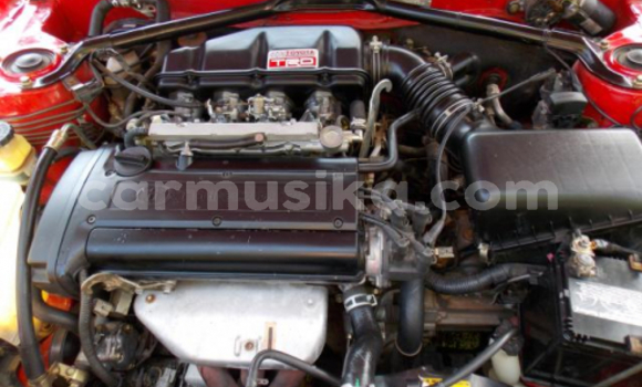 Buy Used Toyota Corolla Red Car in Beitbridge in Matabeleland South Buy Used Toyota Corolla Red Car in Beitbridge in Matabeleland South