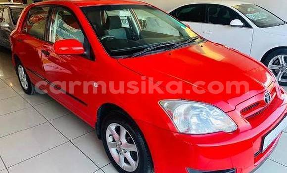 Tenga Tsaru Toyota Runx Tsvuku Mota in Beitbridge in Matabeleland South Tenga Tsaru Toyota Runx Tsvuku Mota in Beitbridge in Matabeleland South