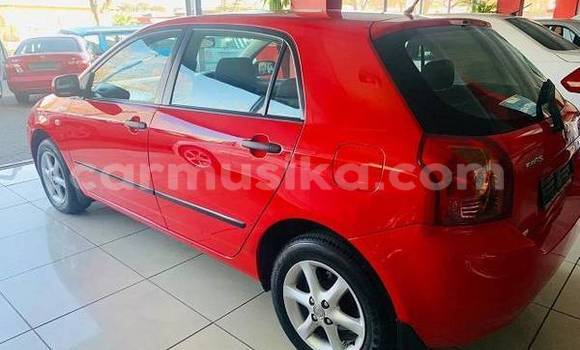 Tenga Tsaru Toyota Runx Tsvuku Mota in Beitbridge in Matabeleland South Tenga Tsaru Toyota Runx Tsvuku Mota in Beitbridge in Matabeleland South