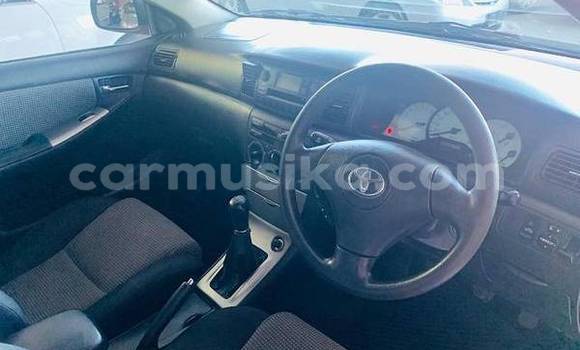 Tenga Tsaru Toyota Runx Tsvuku Mota in Beitbridge in Matabeleland South Tenga Tsaru Toyota Runx Tsvuku Mota in Beitbridge in Matabeleland South