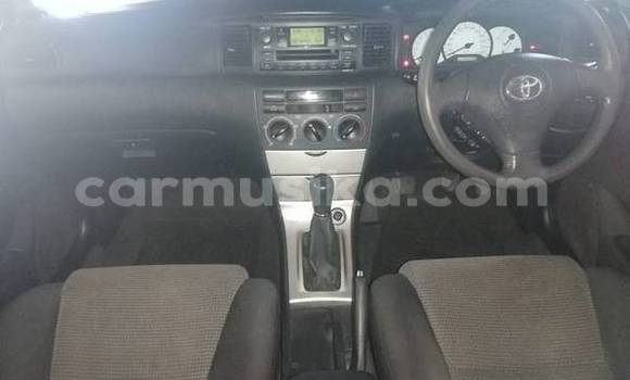 Tenga Tsaru Toyota Runx Tsvuku Mota in Beitbridge in Matabeleland South Tenga Tsaru Toyota Runx Tsvuku Mota in Beitbridge in Matabeleland South