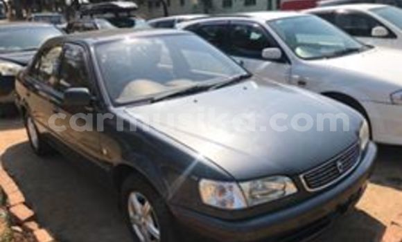 Acheter Occasion Voiture Toyota Corolla Noir à Harare, Harare Acheter Occasion Voiture Toyota Corolla Noir à Harare, Harare