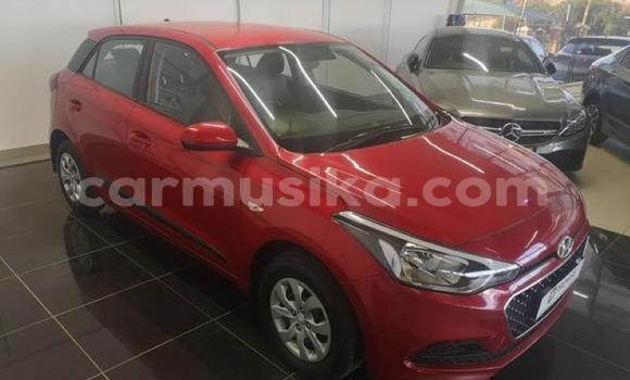 Buy Used Hyundai i20 Red Car in Beitbridge in Matabeleland South Buy Used Hyundai i20 Red Car in Beitbridge in Matabeleland South