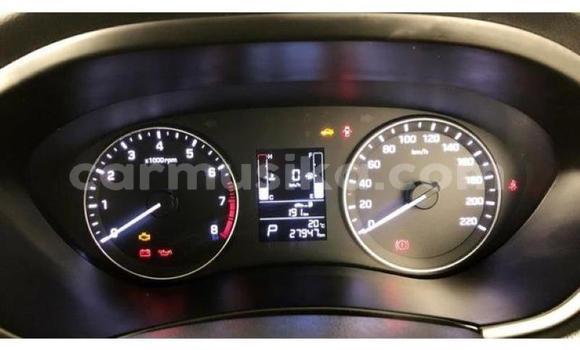 Buy Used Hyundai i20 Red Car in Beitbridge in Matabeleland South Buy Used Hyundai i20 Red Car in Beitbridge in Matabeleland South