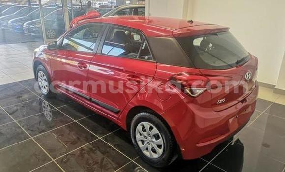 Buy Used Hyundai i20 Red Car in Beitbridge in Matabeleland South Buy Used Hyundai i20 Red Car in Beitbridge in Matabeleland South